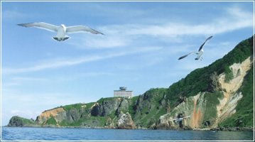 小樽海上観光船から撮影したホテルノイシュロス小樽とカモメ